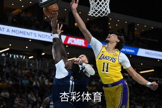 杏彩体育公司介绍图
